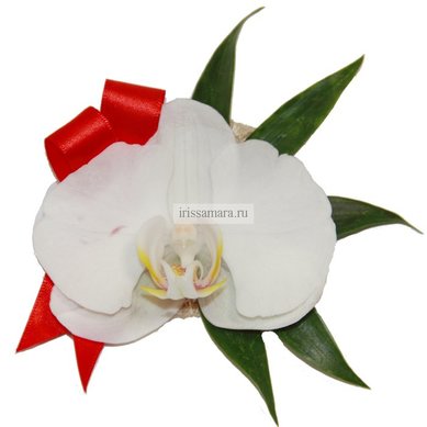 Бутоньерка И4712 - Салон цветов Ирис